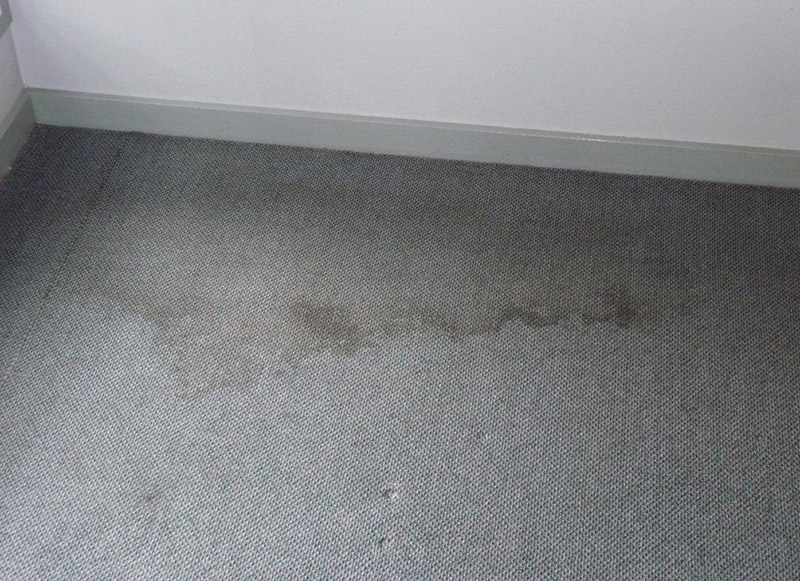 Water Damage & Mould Clean Up