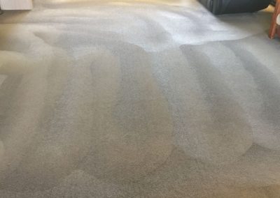 This suburban Adelaide client opted for our steam carpet cleaning for giving their living room carpets a new lease of life