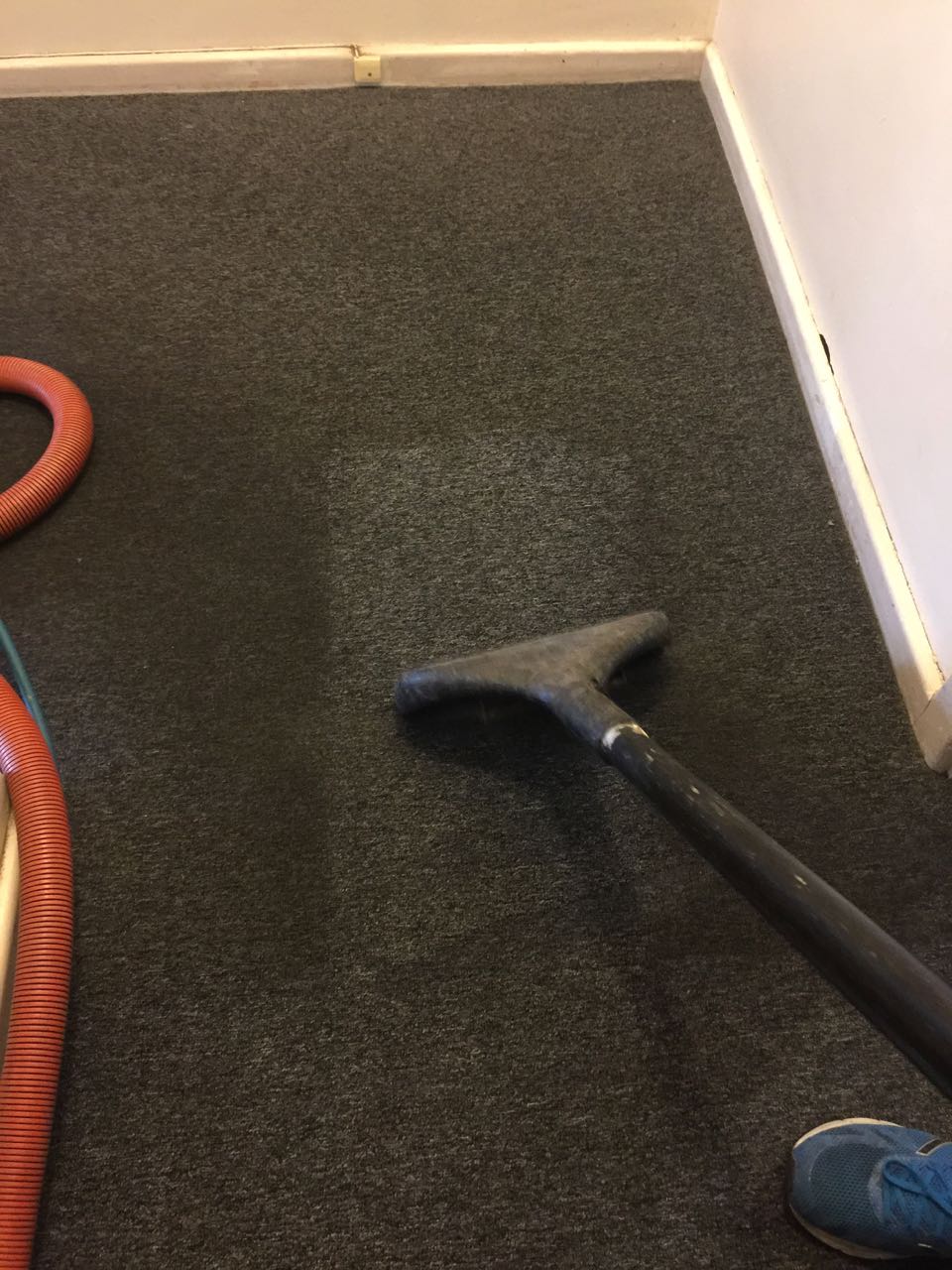 Residential carpet cleaning in suburban Adelaide using the steam clean method